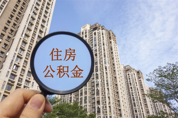 南城公积金小额提取（公积金小额怎么提取）